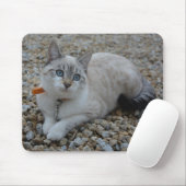 Kat Muismat (Met muis)