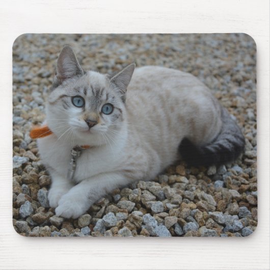 Kat Muismat (Voorkant)