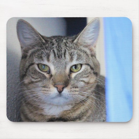 Kat Muismat (Voorkant)