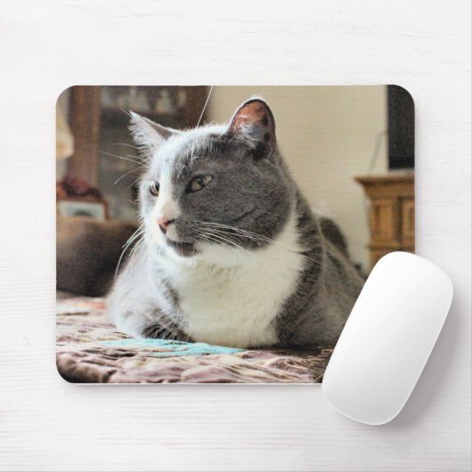 Kat Muismat (Met muis)
