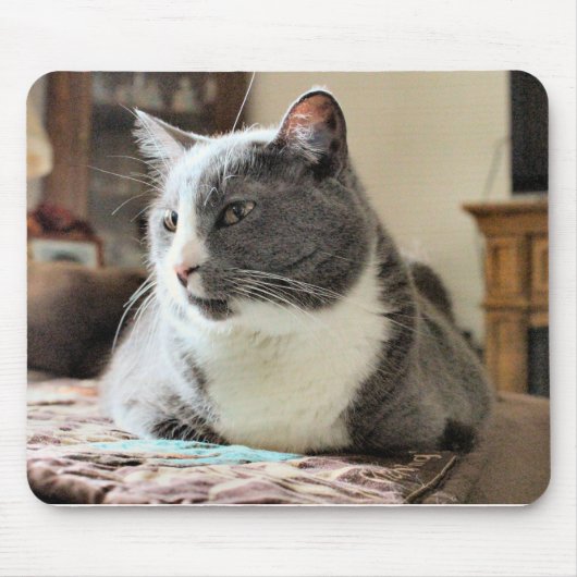Kat Muismat (Voorkant)