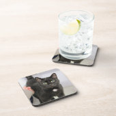 Kat-Muismat Bier Onderzetter (Rechterzijde)