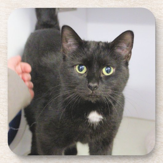 Kat-Muismat Bier Onderzetter (Voorkant)