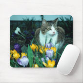 Kat-Muismat Muismat (Met muis)