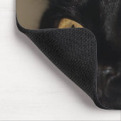 Kat-muismat Muismat (Hoek)