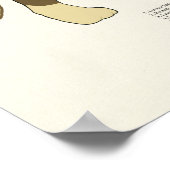 Kat Musculair Anatomie Veterinaire Grafiek Poster (Hoek)