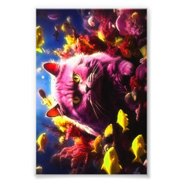 Kat muur kunst decoratie  foto afdruk