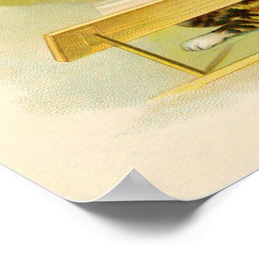  kat-muzikant band reclame poster (Hoek)