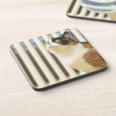 Kat naast de radiator bier onderzetter (Linkerzijde)