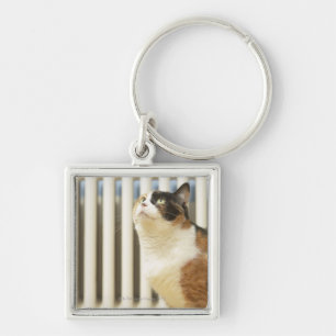 Kat naast de radiator sleutelhanger