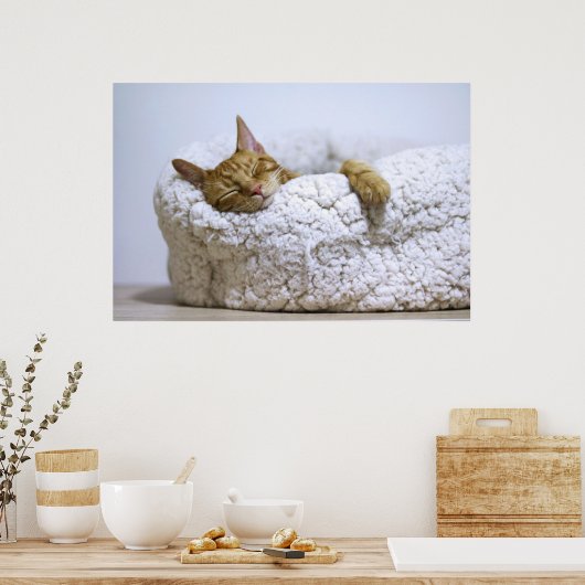 Kat Nap 4 Poster Premium Canvas (gloss) (Keuken)