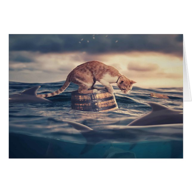 Kat Nap Droom of Nachtmerrie (Voorkant Horizontaal)