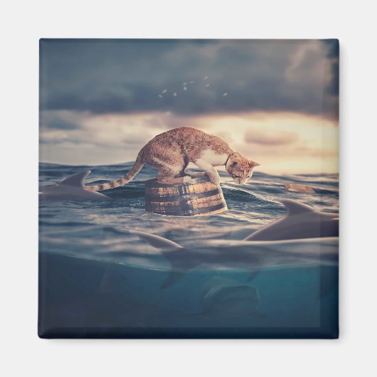 Kat Nap Droom of Nachtmerrie Magneet (Voorkant)