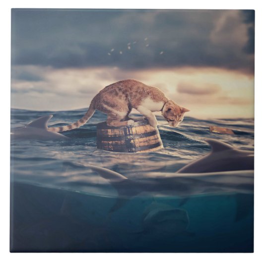 Kat Nap Droom of Nachtmerrie Tegeltje (Voorkant)