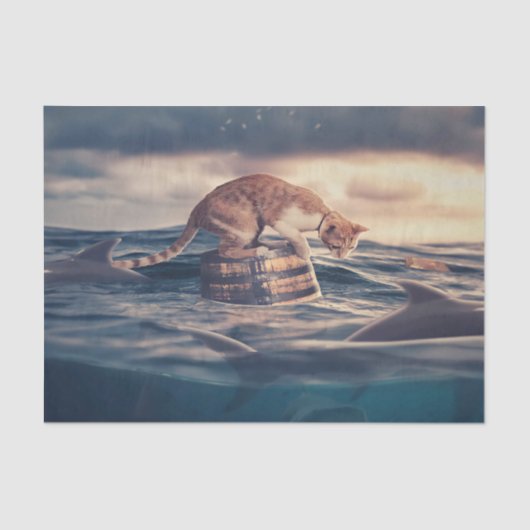 Kat Nap Droom of Nachtmerrie Tissuepapier (Voorkant)