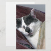 Kat Napping Briefpapier (Voorkant / Achterkant)