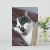 Kat Napping Briefpapier (Staand voorkant)