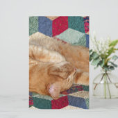 Kat Napping Briefpapier (Staand voorkant)