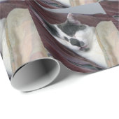 Kat Napping Cadeaupapier (Rol Hoek)