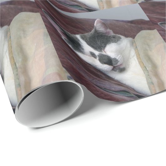 Kat Napping Cadeaupapier (Rol Hoek)