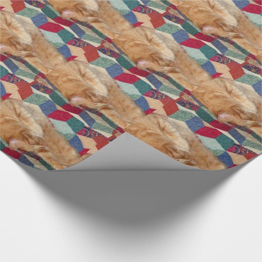 Kat Napping Cadeaupapier (Hoek)