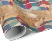 Kat Napping Cadeaupapier (Rol Hoek)