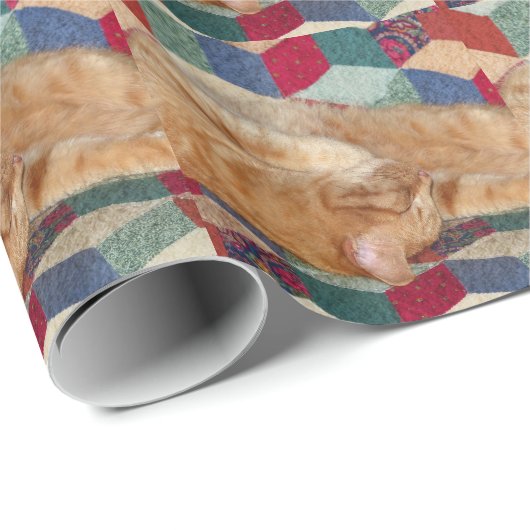 Kat Napping Cadeaupapier (Rol Hoek)