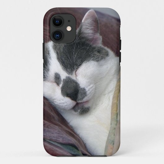 Kat Napping Case-Mate iPhone Case (Achterkant)