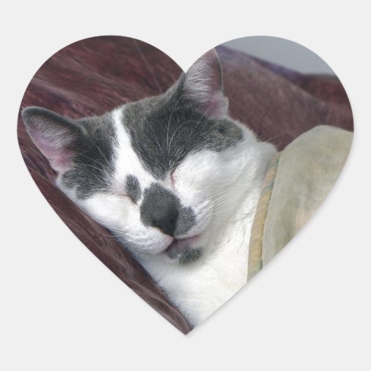Kat Napping Hart Sticker (Voorkant)