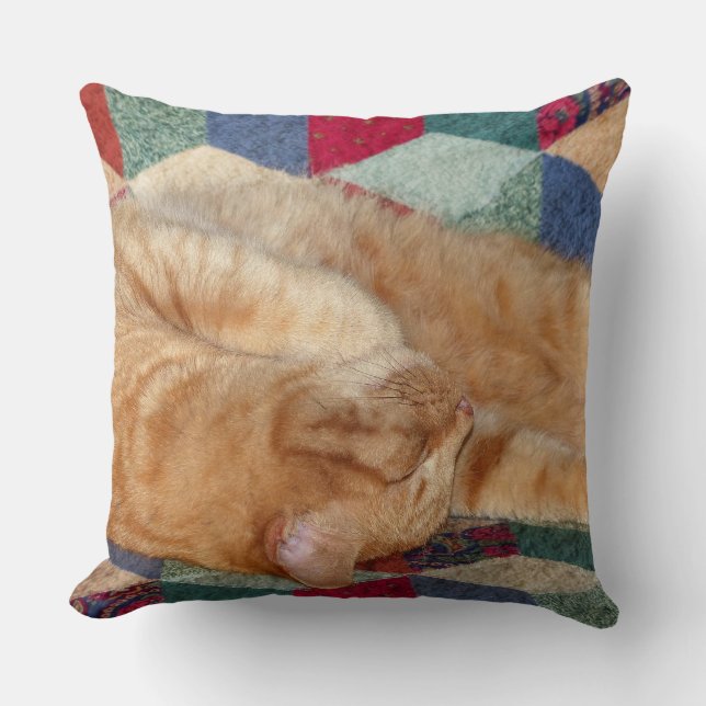 Kat Napping Kussen (Voorkant)
