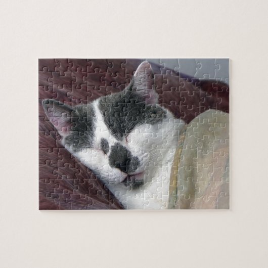 Kat Napping Legpuzzel (Horizontaal)