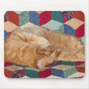 Kat Napping Muismat