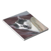 Kat Napping Notitieblok (Schuin)