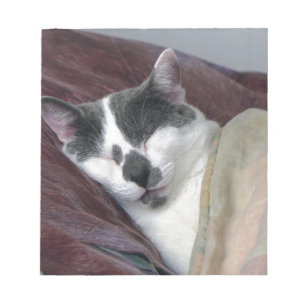 Kat Napping Notitieblok
