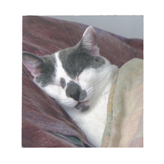 Kat Napping Notitieblok (Voorkant)