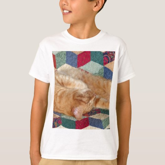 Kat Napping T-shirt (Voorkant)