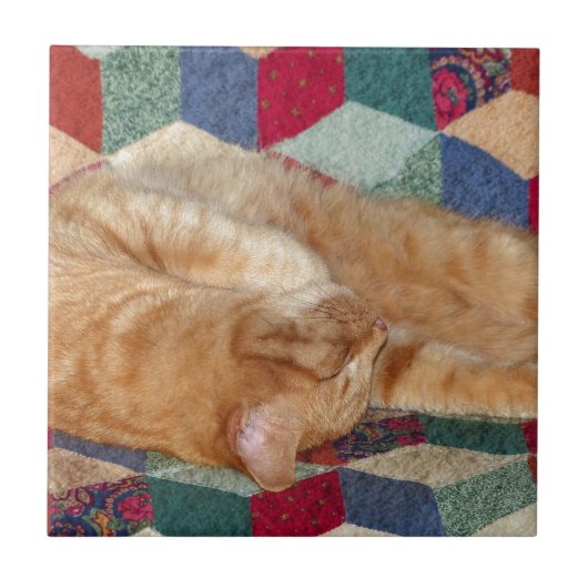 Kat Napping Tegeltje (Voorkant)