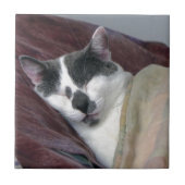 Kat Napping Tegeltje (Voorkant)