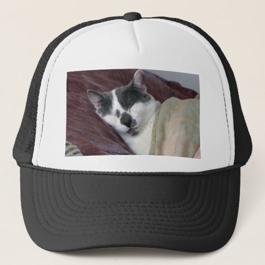 Kat Napping Trucker Pet (Voorkant)