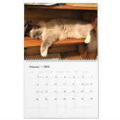 Kat Naps 2021 Agenda Kalender (Feb 2026)