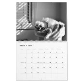 Kat Naps 2021 Agenda Kalender (Mar 2027)