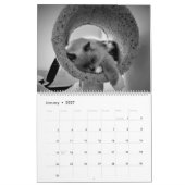 Kat Naps 2021 Agenda Kalender (Jan 2027)