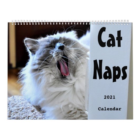 Kat Naps 2021 Agenda Kalender (Hoes)