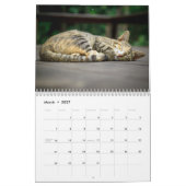 Kat Naps Photo Wall Agenda Kalender (Mar 2027)