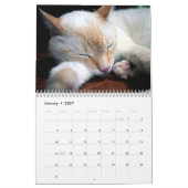 Kat Naps Photo Wall Agenda Kalender (Jan 2027)