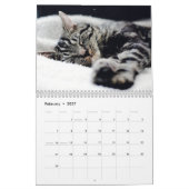 Kat Naps Photo Wall Agenda Kalender (Feb 2027)