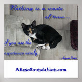 Kat Naps Poster (Voorkant)