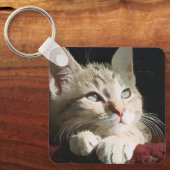 Kat, natuur, huisdier sleutelhanger (Voorkant)