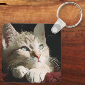 Kat, natuur, huisdier sleutelhanger (Achterkant)
