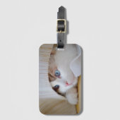 Kat, Natuur, kitten Bagagelabel (Voorkant (verticaal))